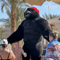 фото из отзыва ID 2670158