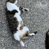 фото из отзыва ID 2670361