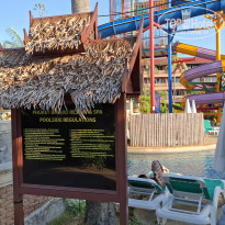 фото из отзыва ID 2670645