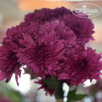 фото из отзыва ID 2670739