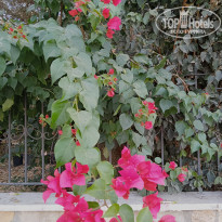 фото из отзыва ID 2670815