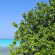 Ayala Ocean View
