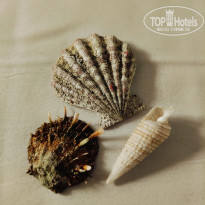 фото из отзыва ID 2670910