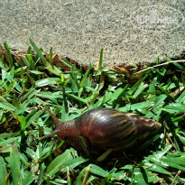 фото из отзыва ID 2671257