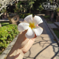 фото из отзыва ID 2671646