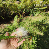 фото из отзыва ID 2671646