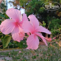 фото из отзыва ID 2671862