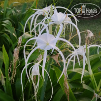 фото из отзыва ID 2671862