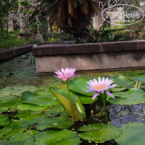 фото из отзыва ID 2671862