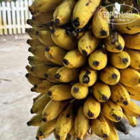 фото из отзыва ID 2671958