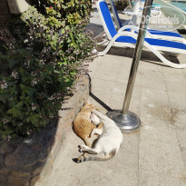 фото из отзыва ID 2672289