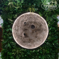 фото из отзыва ID 2672324