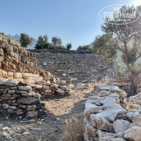 фото из отзыва ID 2672490