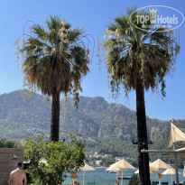 фото из отзыва ID 2672490