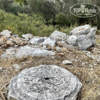 фото из отзыва ID 2672490