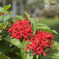 фото из отзыва ID 2672790
