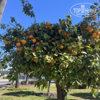фото из отзыва ID 2672822