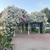фото из отзыва ID 2673177