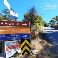 фото из отзыва ID 2673361