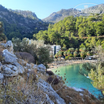 фото из отзыва ID 2673361