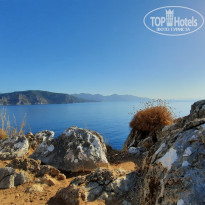 фото из отзыва ID 2673361