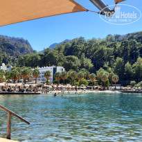 фото из отзыва ID 2673361