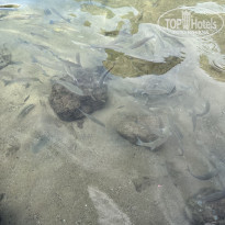 фото из отзыва ID 2673361