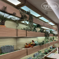 фото из отзыва ID 2673361