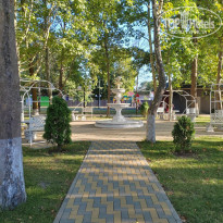 фото из отзыва ID 2673430