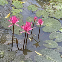 фото из отзыва ID 2673448