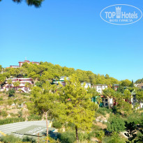 фото из отзыва ID 2673662