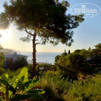 фото из отзыва ID 2673662