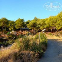 фото из отзыва ID 2673662