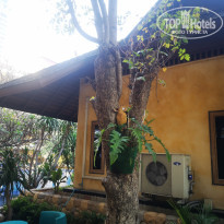 фото из отзыва ID 2673751