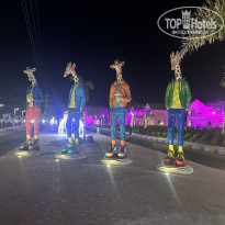 фото из отзыва ID 2673910