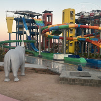 фото из отзыва ID 2673910