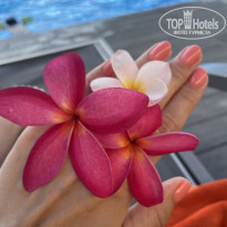 фото из отзыва ID 2673436