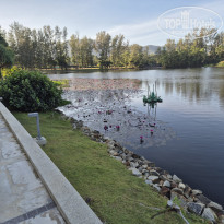 фото из отзыва ID 2674008