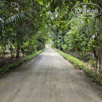 фото из отзыва ID 2674191