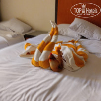 фото из отзыва ID 2674291