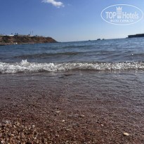 фото из отзыва ID 2674304