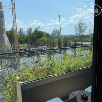 фото из отзыва ID 2674392