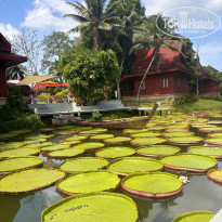 фото из отзыва ID 2674417