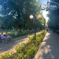 фото из отзыва ID 2674689