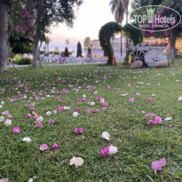 фото из отзыва ID 2674930