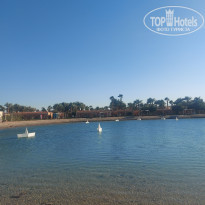 фото из отзыва ID 2674960