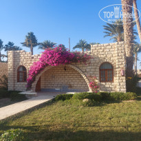 фото из отзыва ID 2674960