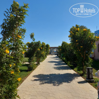 фото из отзыва ID 2674960