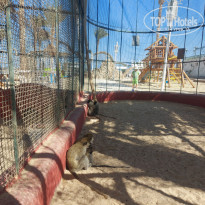 фото из отзыва ID 2674960