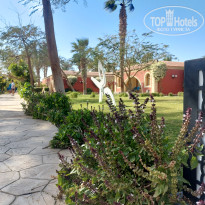 фото из отзыва ID 2674960